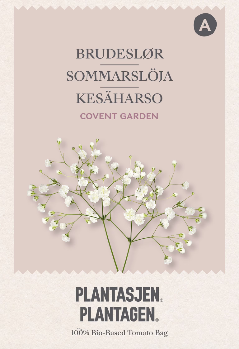 Gypsophila elegans Covent Garden white - 0.5 g