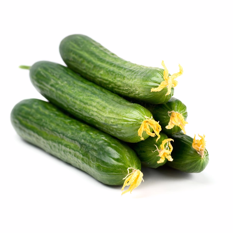 Minigurka