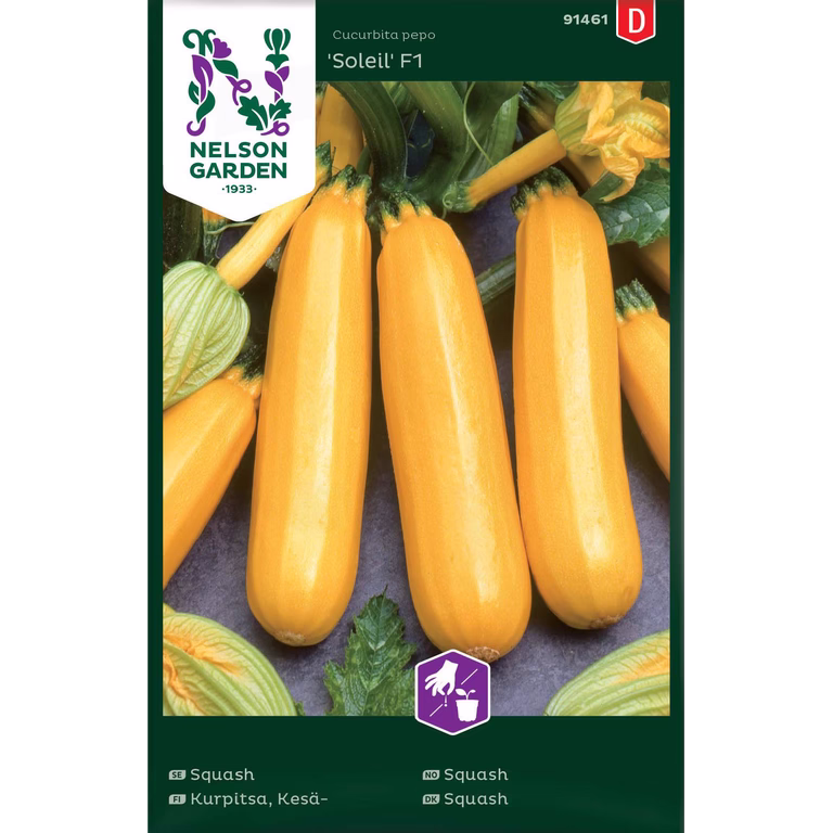 Squash 'Soleil'