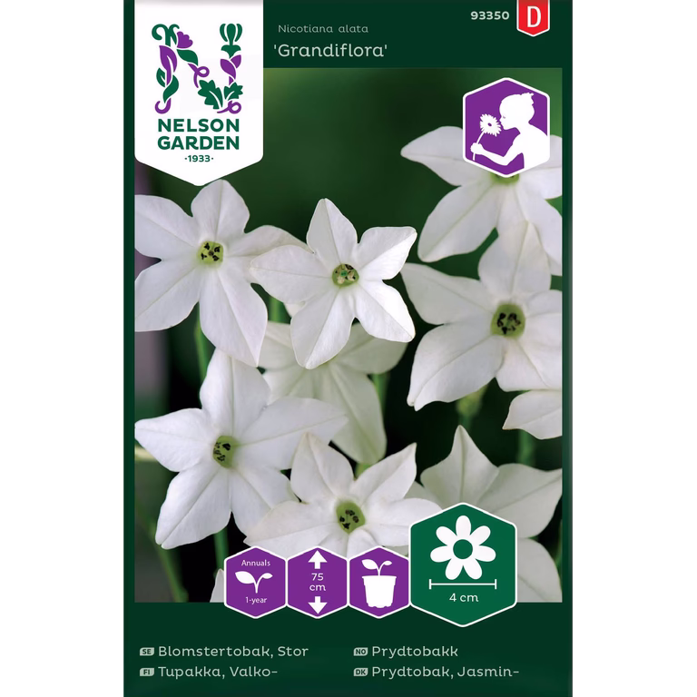Stor Blomstertobak 'Grandiflora'