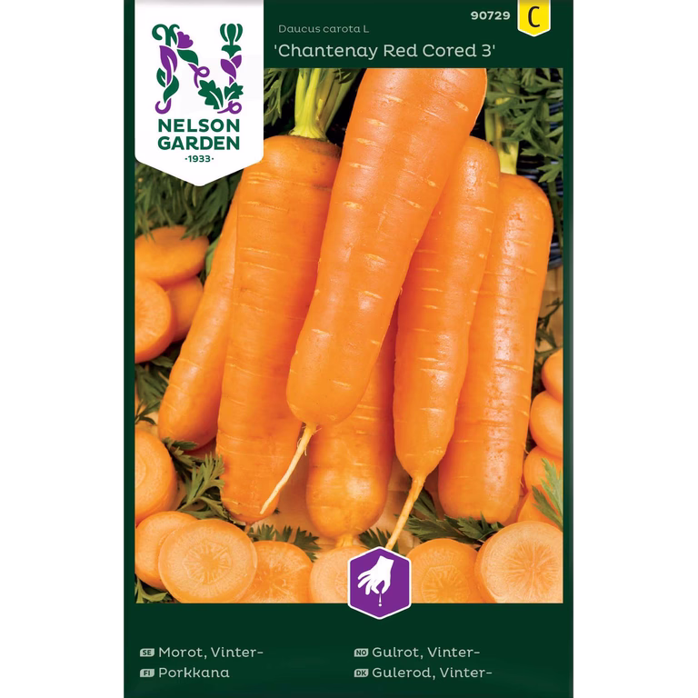 Vintermorot 'Chantenay Red Cored 3'