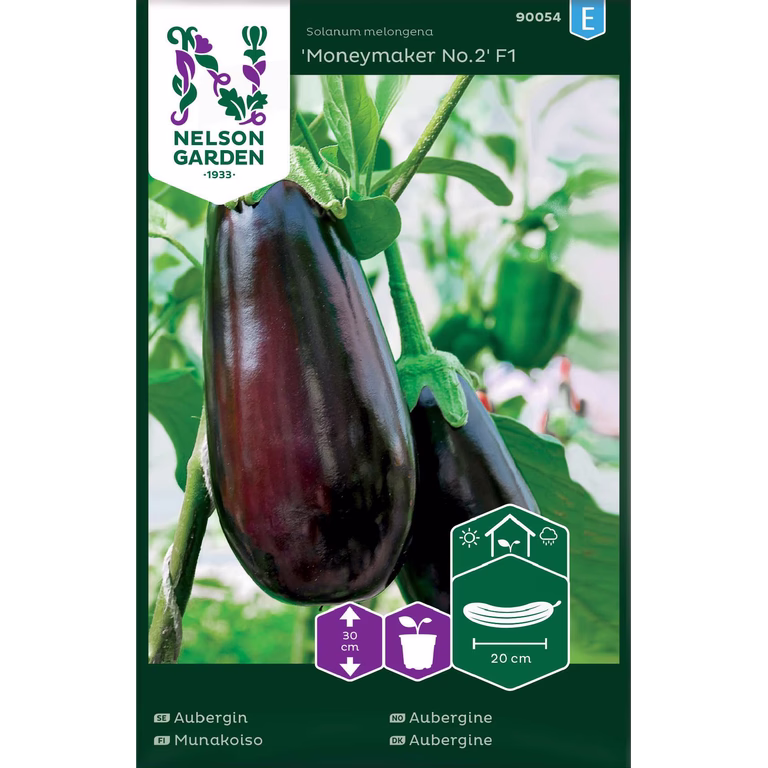 Aubergin 'Moneymaker No.2' F1