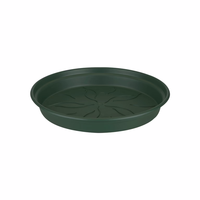 Fat Green basics