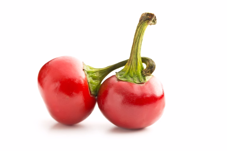 Chilipaprika 'Hungarian Round'