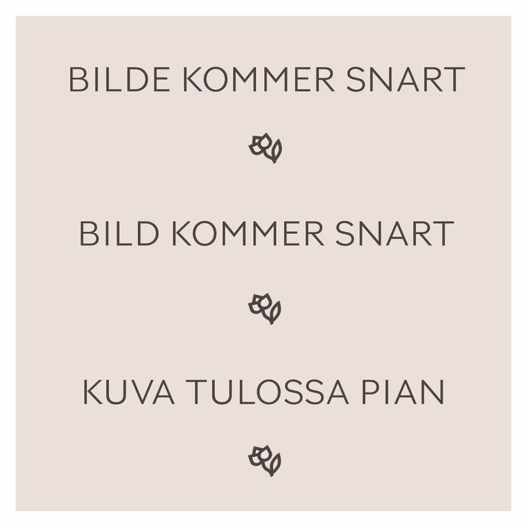 Fjärilsbuske 'Butterfly Candy'
