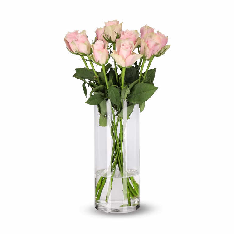 Rosor 10-pack
