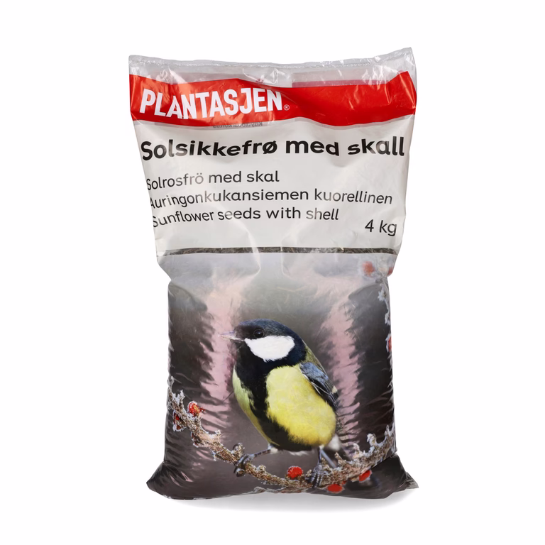 Fågelmat oskalade solrosfrön