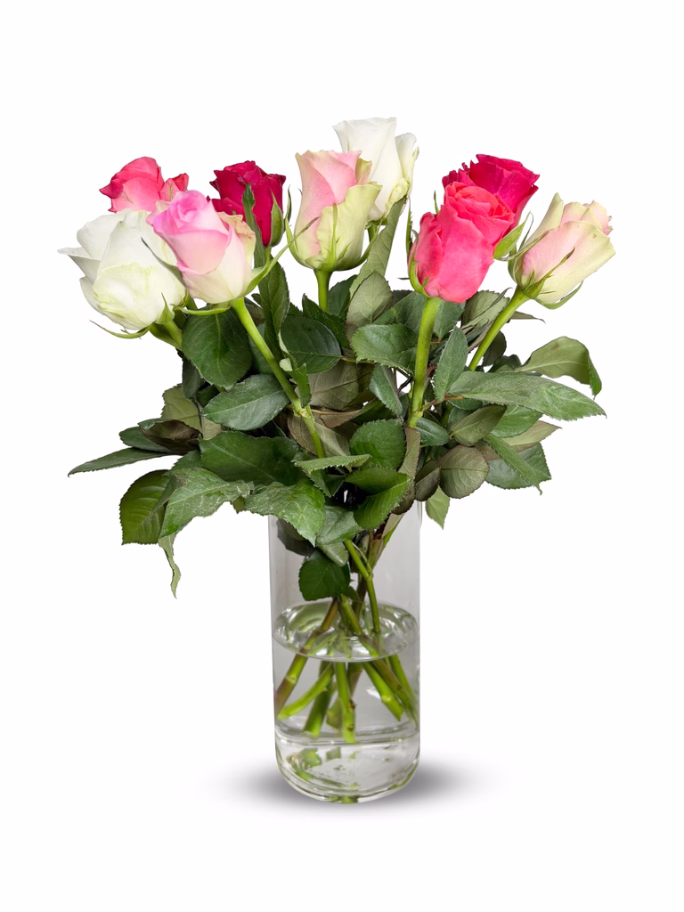 Rosor 9-pack