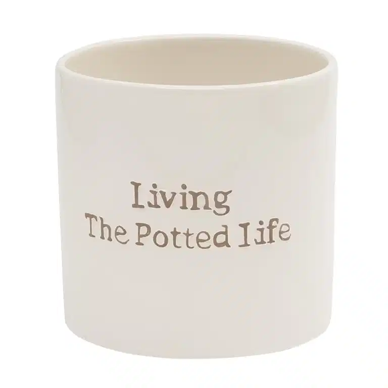 Pot Living The Potted Life 