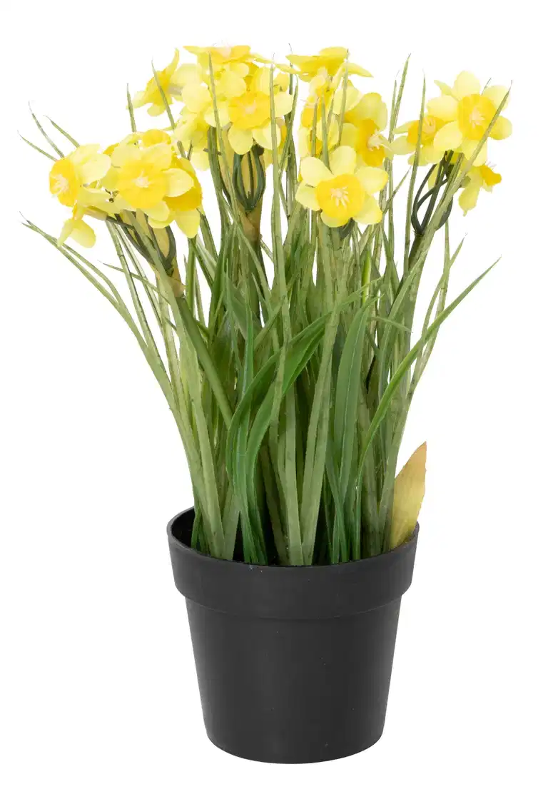 Daffodil in pot artificial