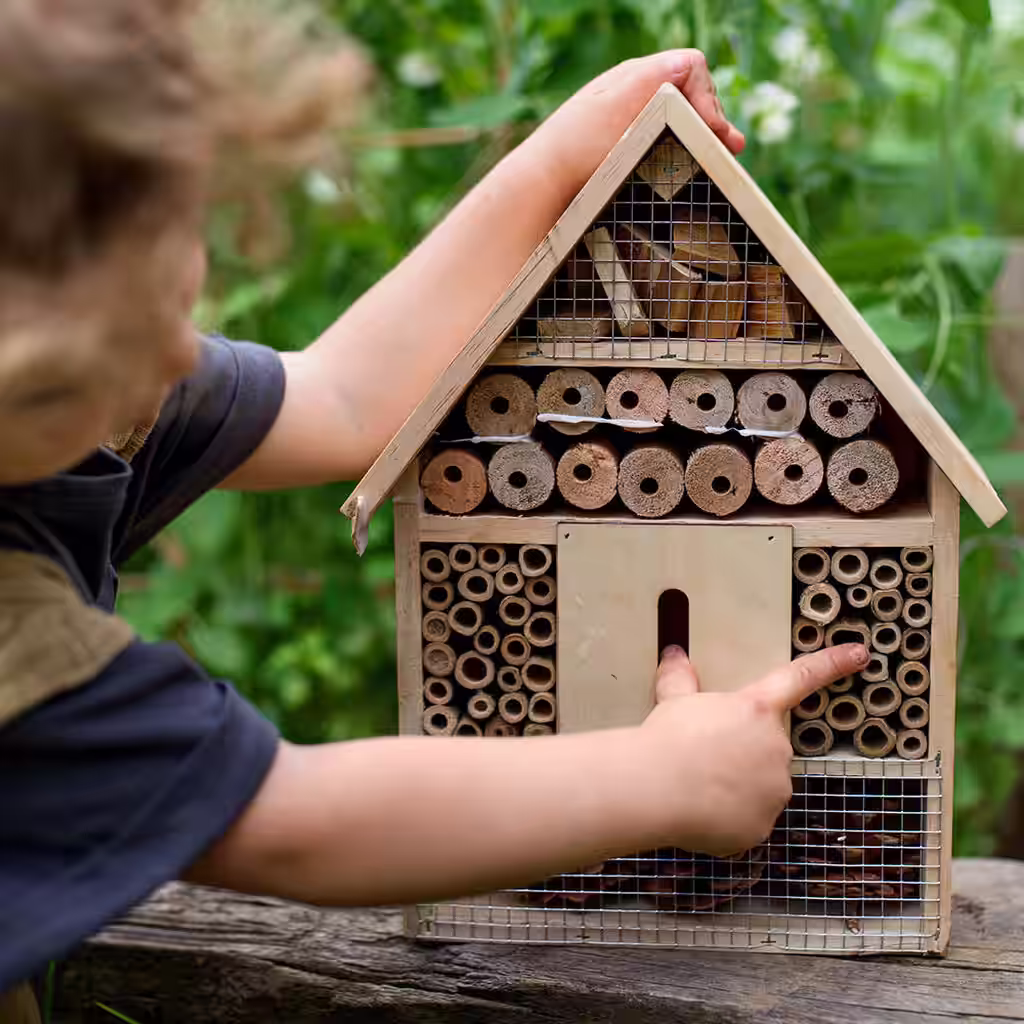 Bygg ditt eget insekthotell - på sju enkla steg