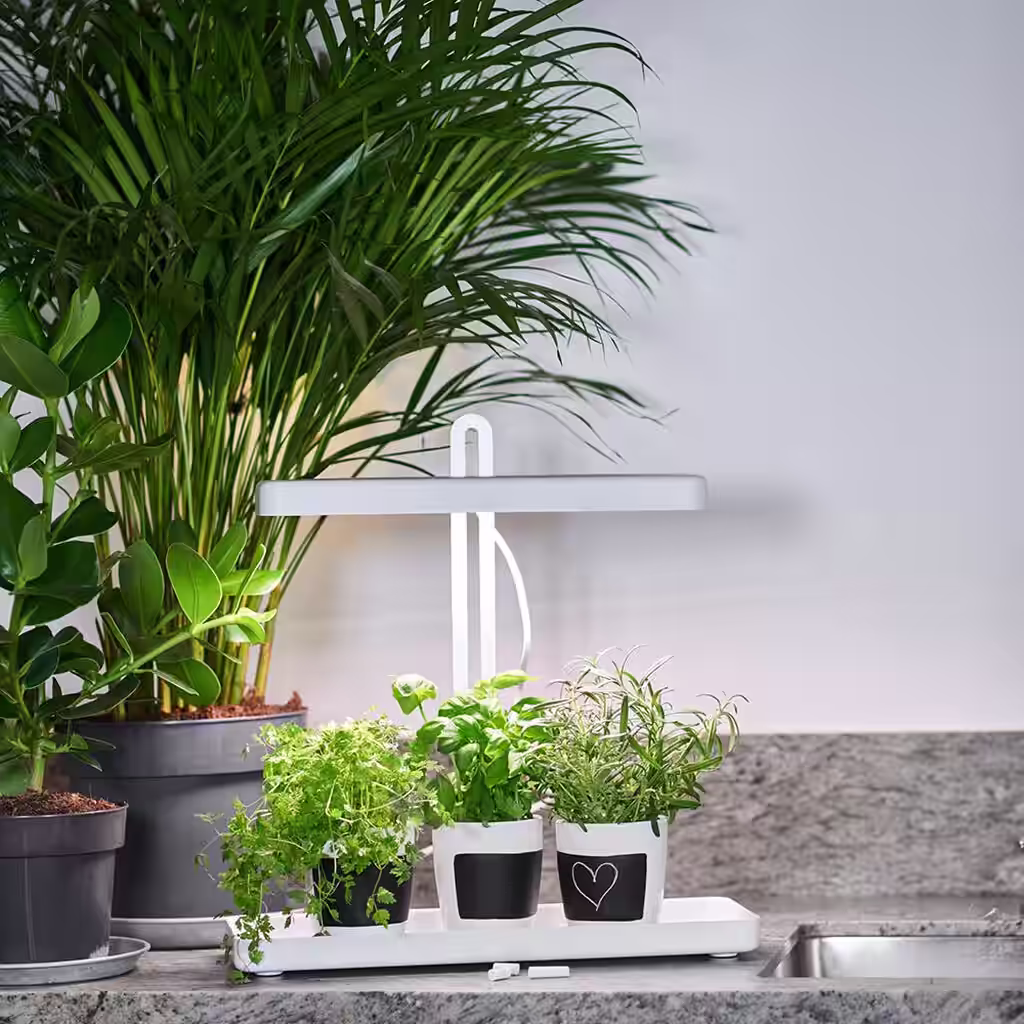 Plant lighting - facts and tips about grow lights and plant lights