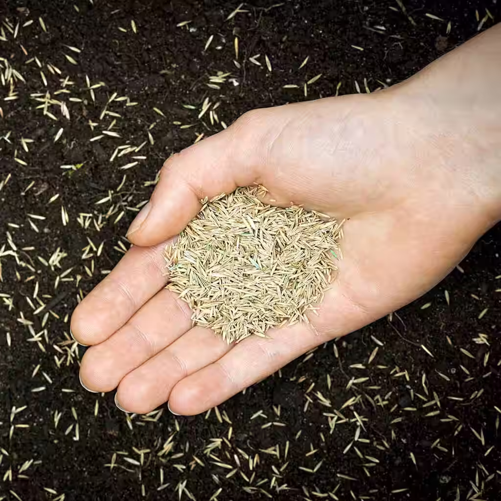 25 % off on all lawn seeds