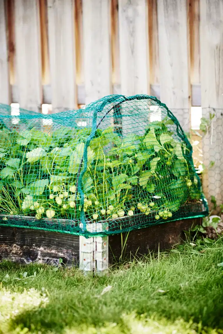 BIRD NET FOR PALLET COLLARS 12