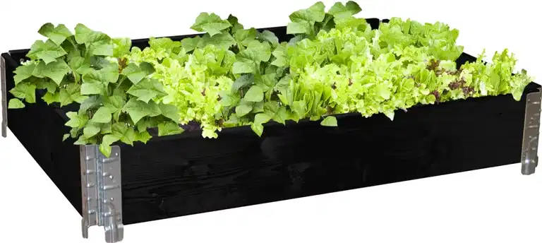 Pallet Collar small 60X80 CM Black