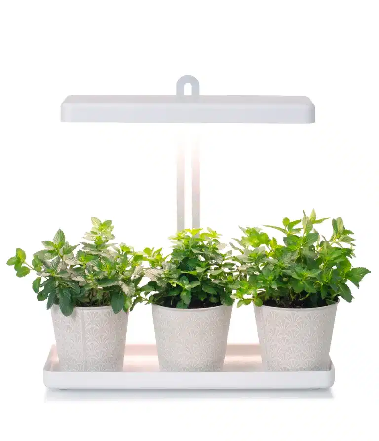 "Gro" Table grow light