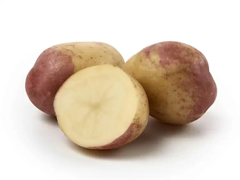 Potato King Edward 3 KG