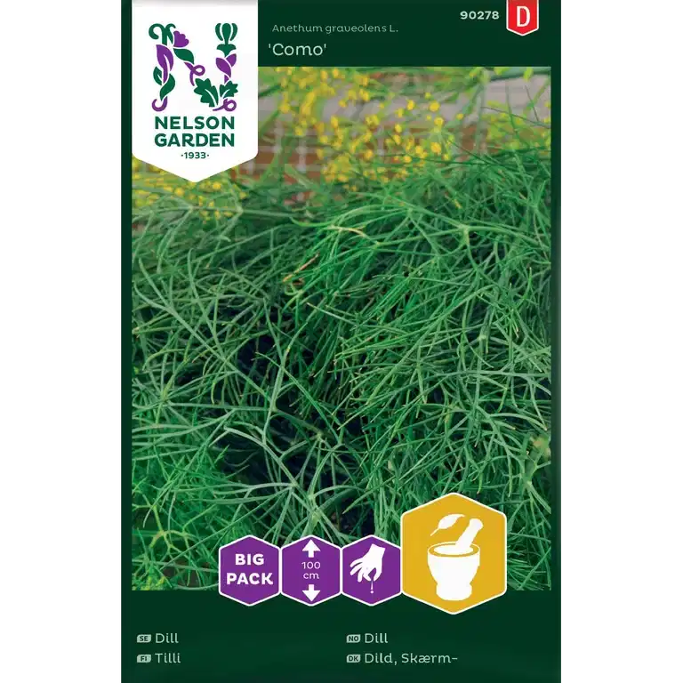 Dill, Vanlig, Como, Big Pack