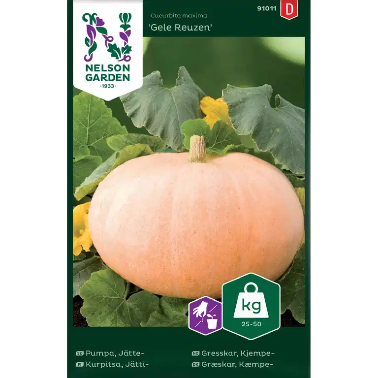 Pumpa, Jätte-, Gele Reuzen