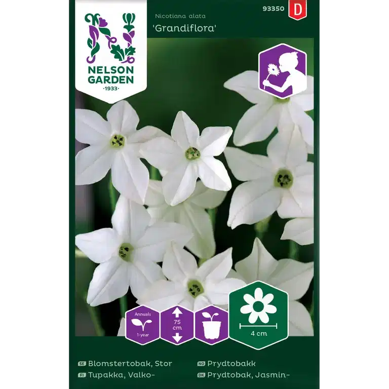 Blomstertobak, Stor-, Grandifl