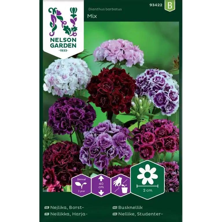 Nejlika, Borst-, Dubbel, bl fä