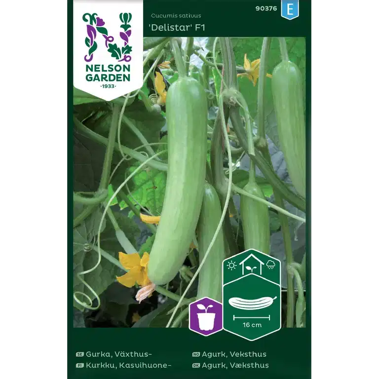 Gurka, Växthus-, Delistar F1