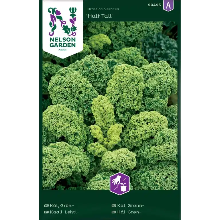 Kål, Grön-, Half Tall