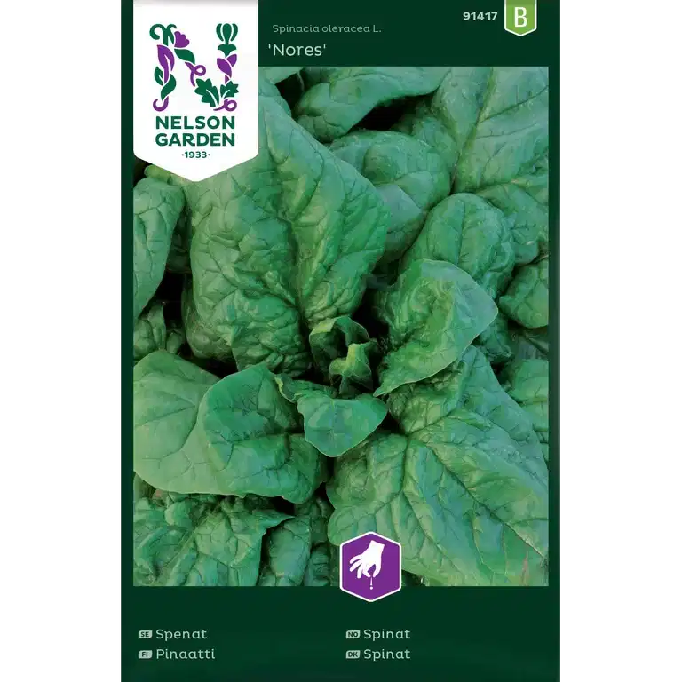 Spenat, Nores
