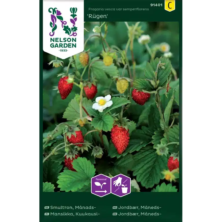 Smultron, Månads-, Rügen