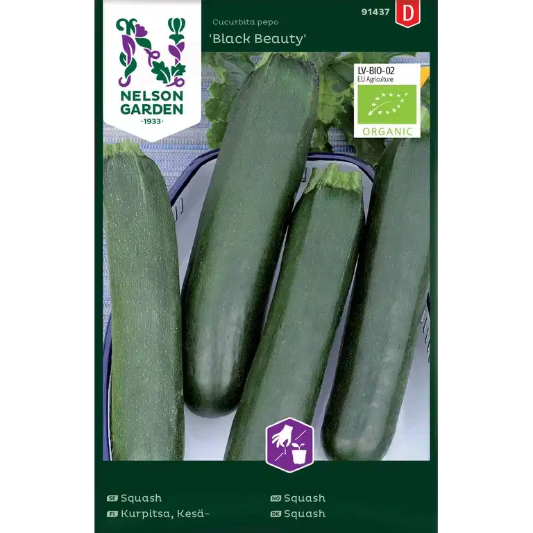 Squash, Black Beauty, Organic