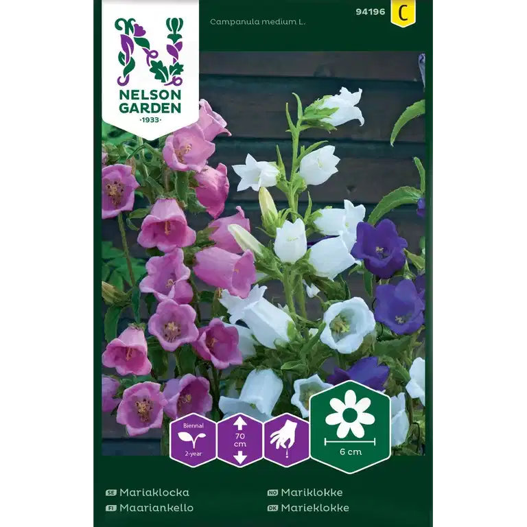 Mariaklocka, Enkel, bl färger