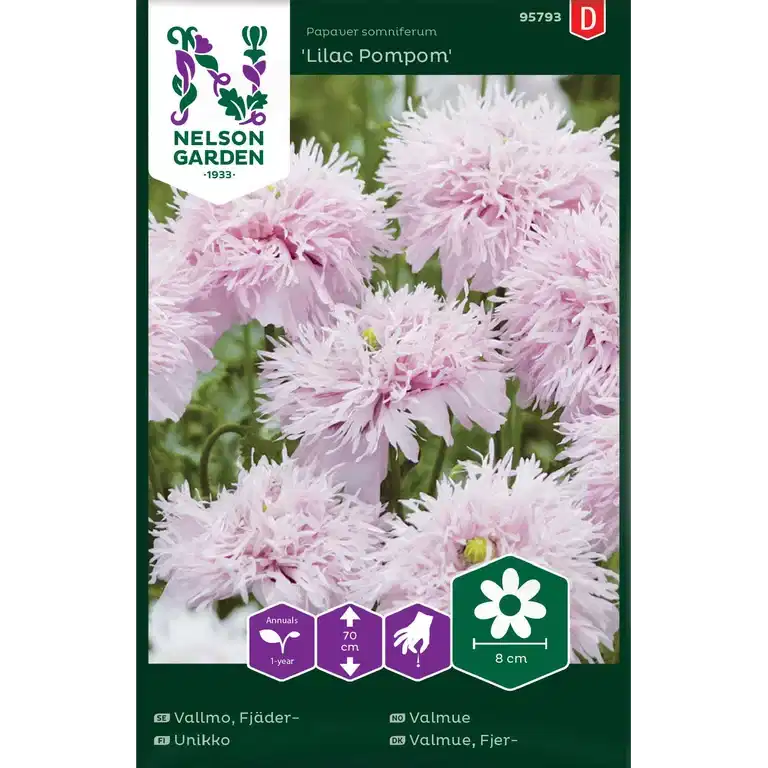 Vallmo, Fjäder-, Lilac Pompom