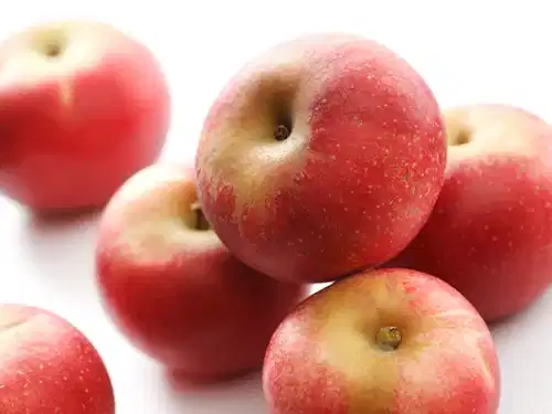 Malus domestica 'Discovery' E A2 12L