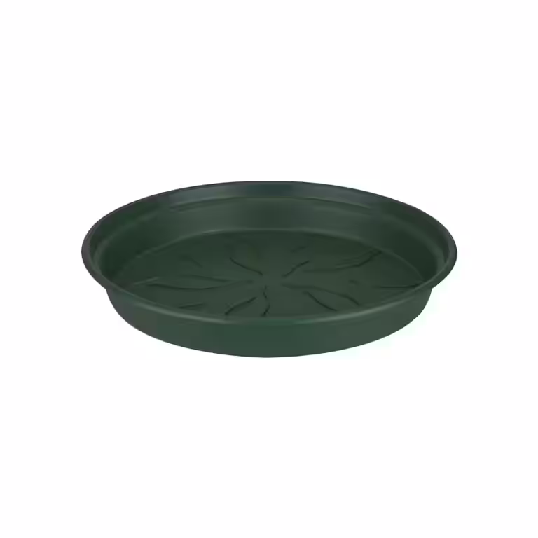 Fat Green basics