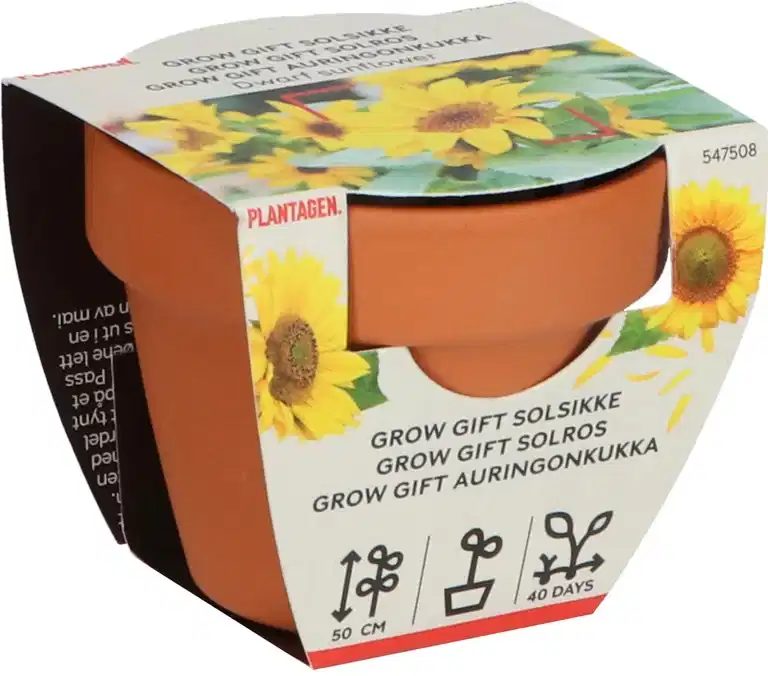 Grow Gifts Sunflower