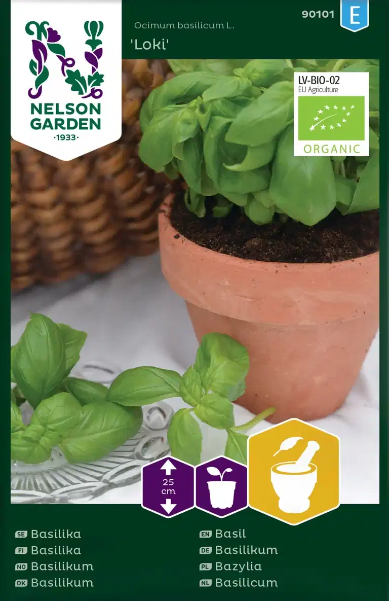 Basilika, Loki, grön, Organic