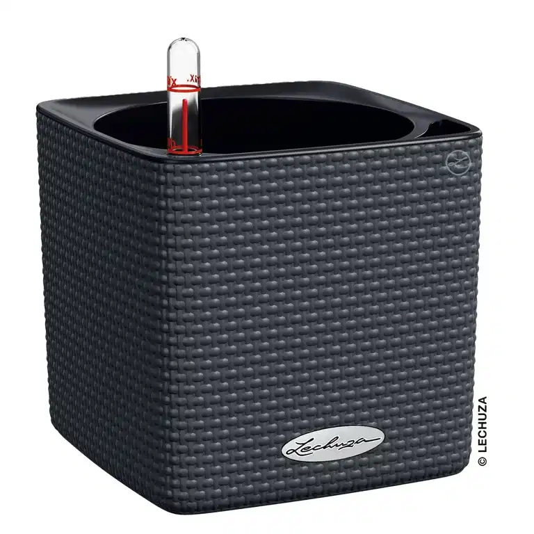 Selfwatering Pot Cube