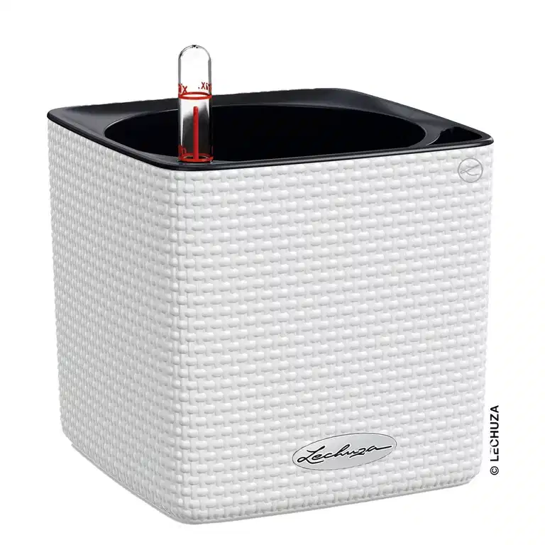 Selfwatering Pot Cube