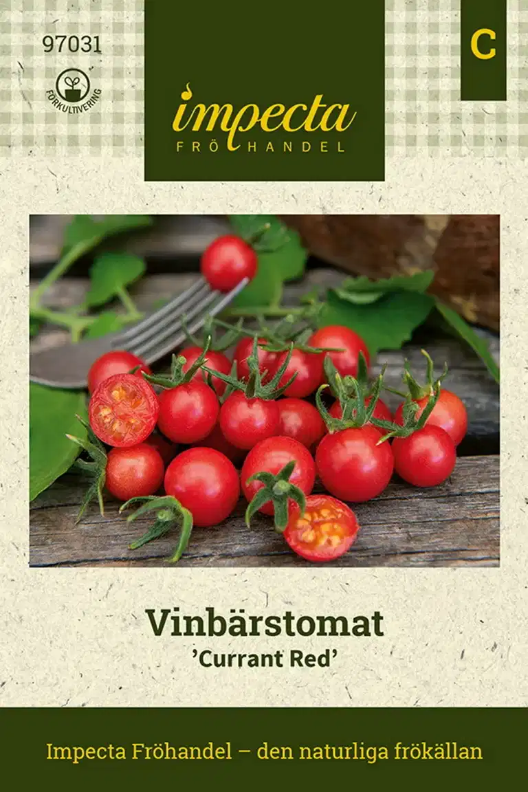 Vinbärstomat 'Currant Red'
