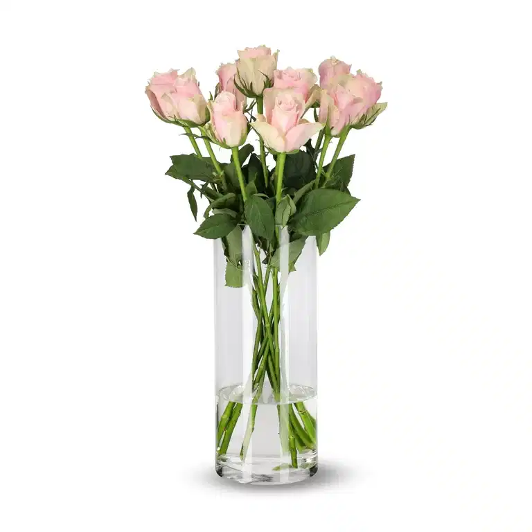 Rozen mix 50cm 10pk YR