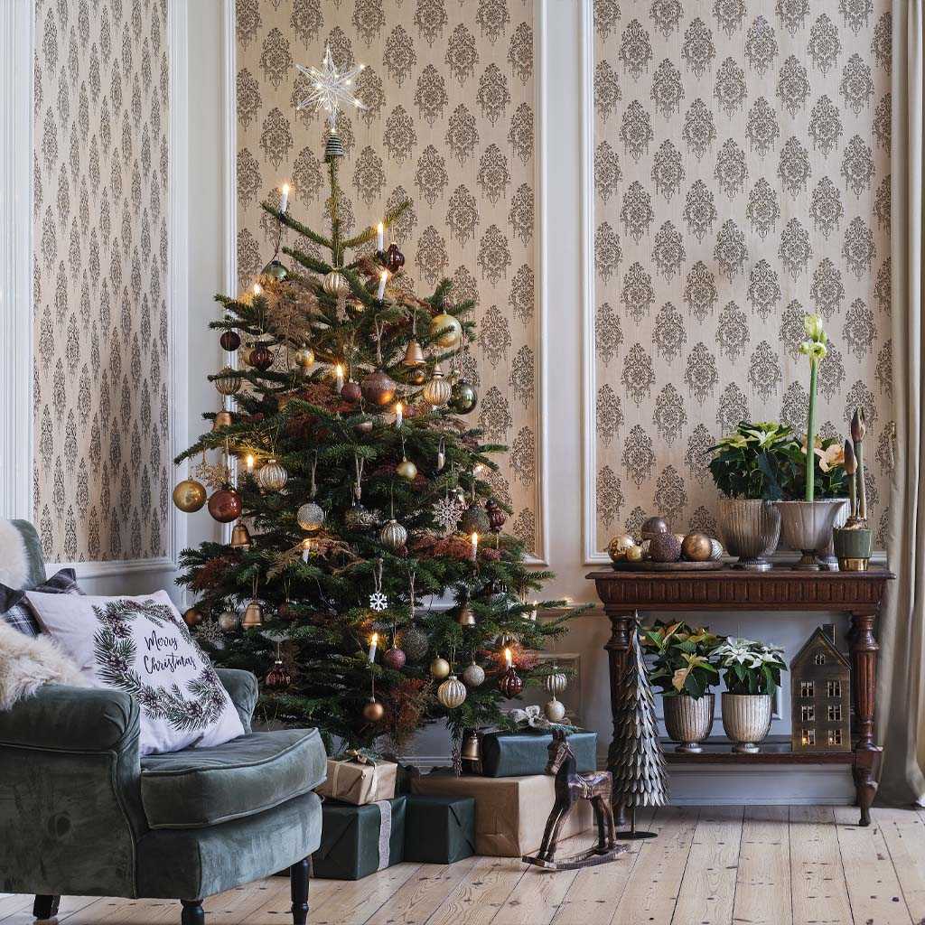 Så lyckas du med julgranen – tips och skötselråd 