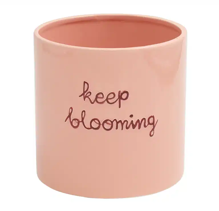 Pot Keep blooming 