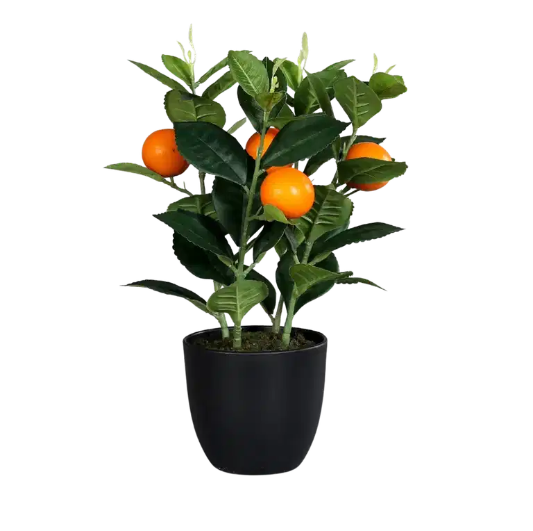 Citrusväxt konstgjord