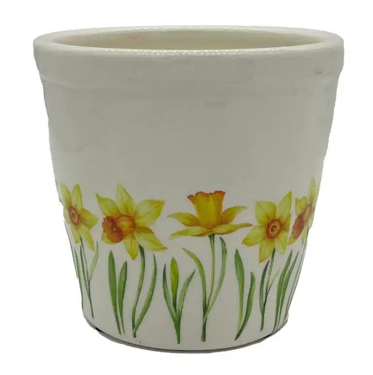 Pot Daffodil 