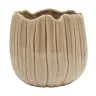 product variant