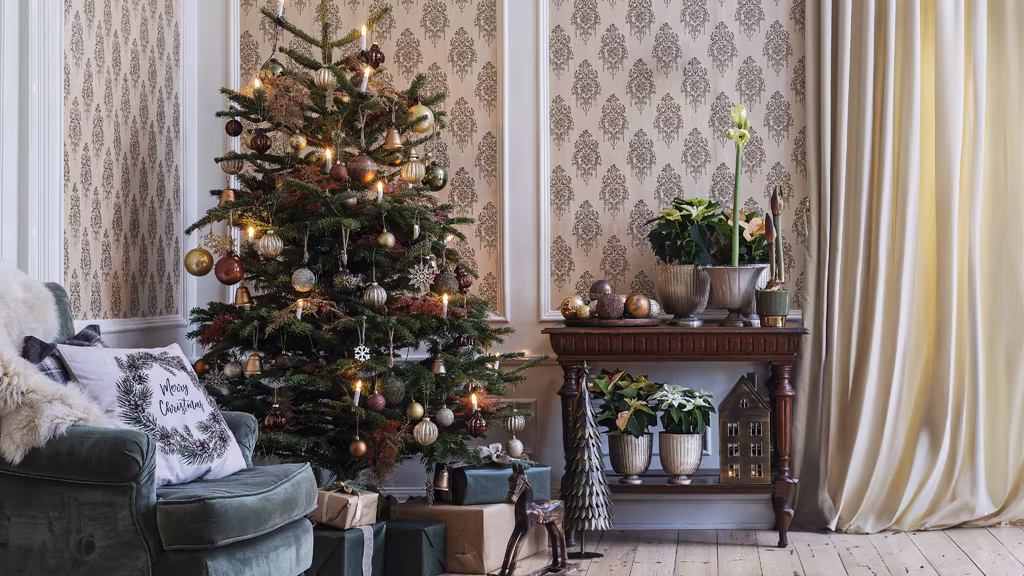 Så lyckas du med julgranen – tips och skötselråd 