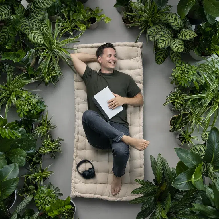 Lättskötta växter 