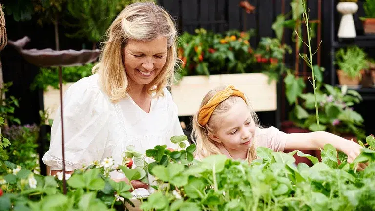 July - this is what you can sow and cultivate