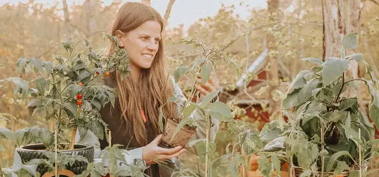 Guaranteed gardening joy with ready-made vegetable plants