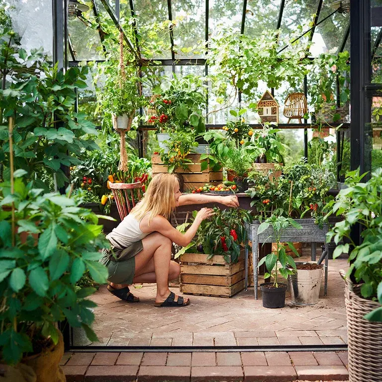 6 good reasons to grow your own